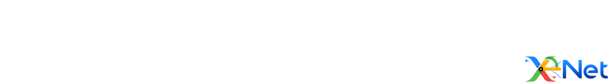 Cybersécurité Roanne